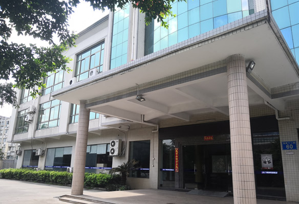 麻豆视频免费在线播放簡介