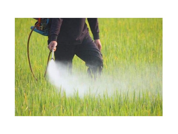 什麽是納米農藥呢？用91麻豆国产精品製備