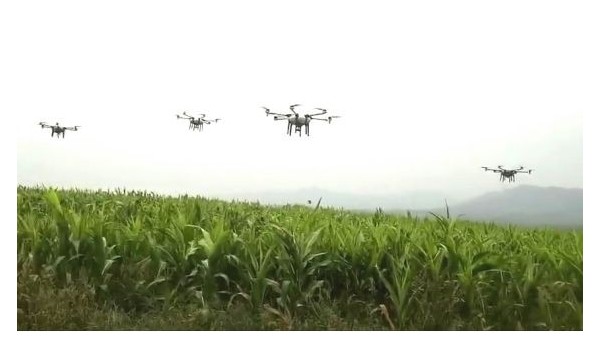 麻豆视频免费在线播放91麻豆国产精品在農藥領域發展