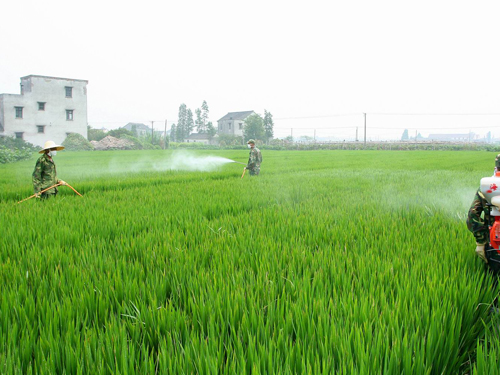 農業農藥91麻豆国产精品製備